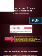 Ecografia Obstétrica Primer Trimestre