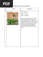 Download Gambar Gulma Dan Identifikasinya by Tiara Resmi II SN357068565 doc pdf