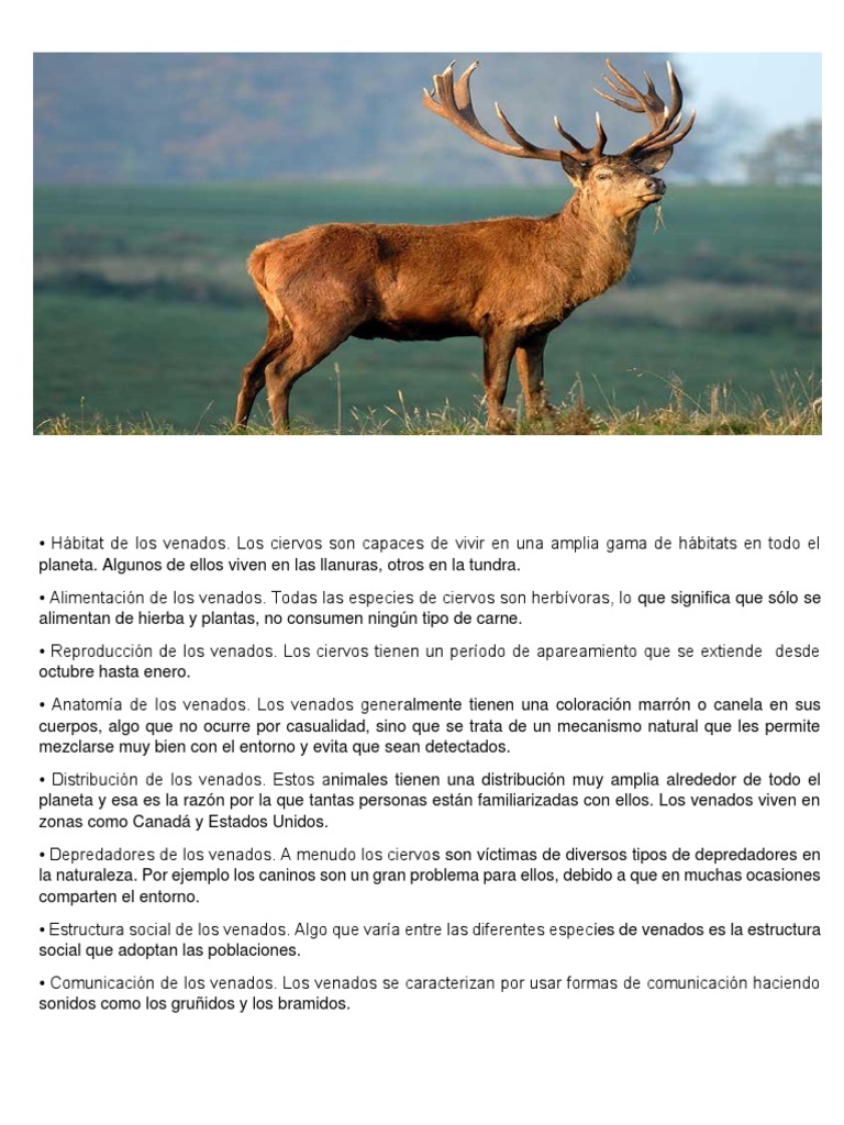 Hábitat de Los Venados