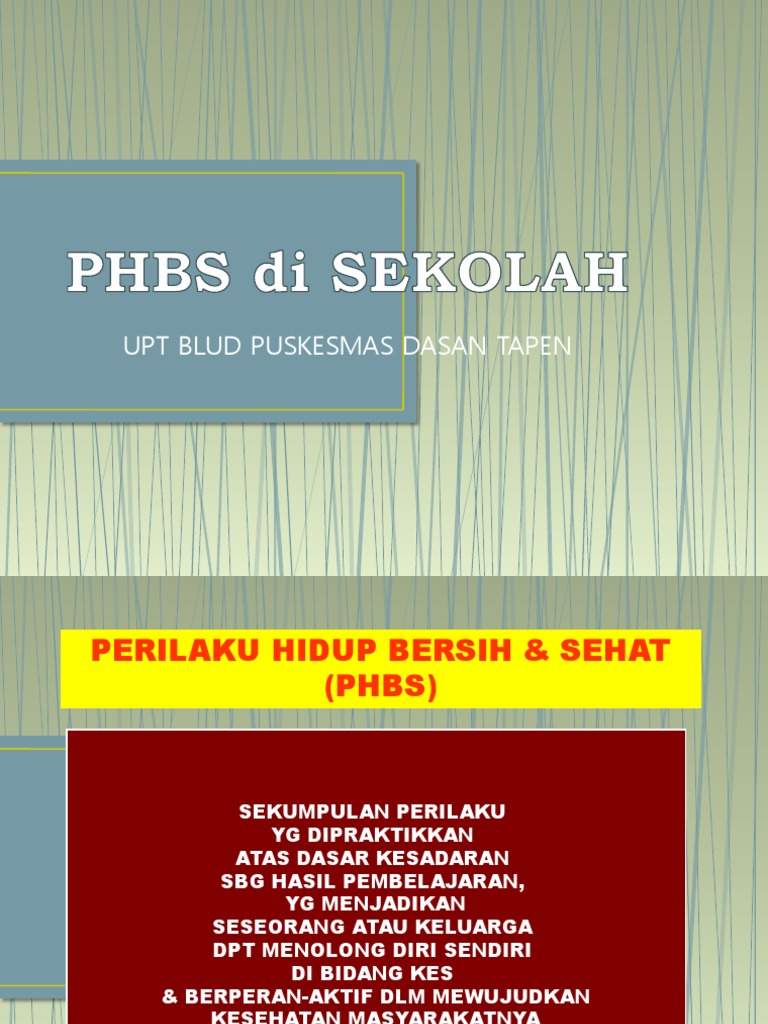 Materi Phbs Di Sekolah Pdf