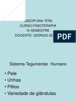 Sistema Tegumentar