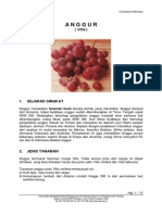 anggur.pdf