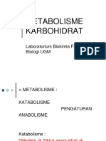 Carbohydrates II Metabolism PDF