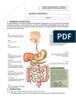Guía Sistema Digestivo2
