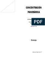 Concentracion Panoramica PDF