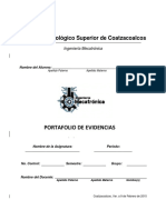 Formato de Portafolio de Evidencias