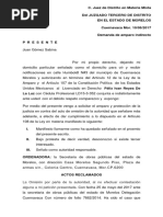 Demanda de Amparo Indirecto