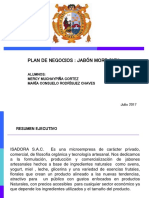 Plan de Negocios Jabón Artesanal