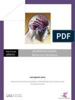 Memoria Del Practicum de Neuropsicología Clínica - Juan Ignacio Junco