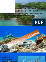 Isla Coiba 