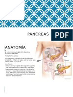 Páncreas Endocrino