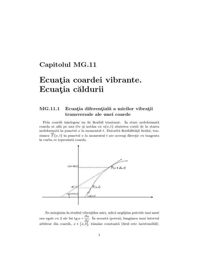 hammer exception Per Ecuatia Coardei Vibrante. Ecuatia Caldurii PDF | PDF