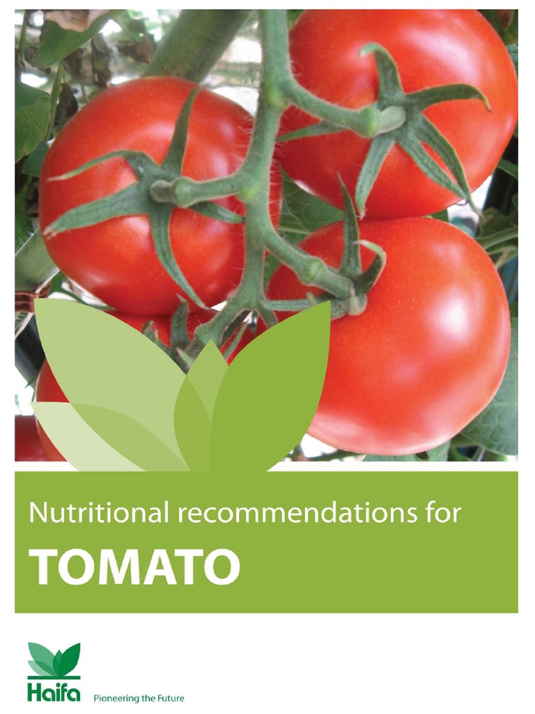 Nutrition For Tomato by HAIFA PDF PDF
