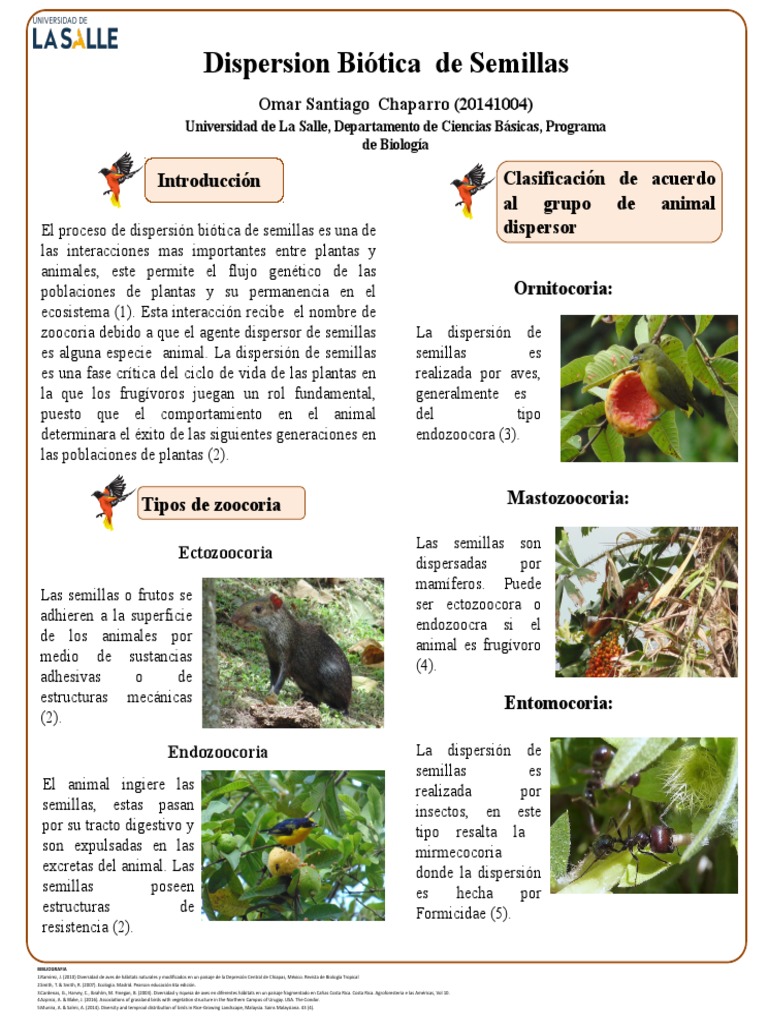 Dispersion de Semillas | PDF | Interacciones biológicas | Organismos, image size:768x1024
