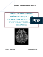 _Dijon-2010THURETAC-encephalomyelite.pdf