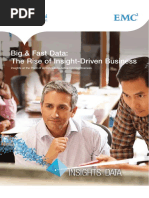 Big Fast Data The Rise of Insight-Driven Business-Report PDF