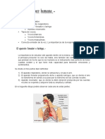 Tema 4 PDF