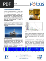 Plant Integrity Case Study Caissons
