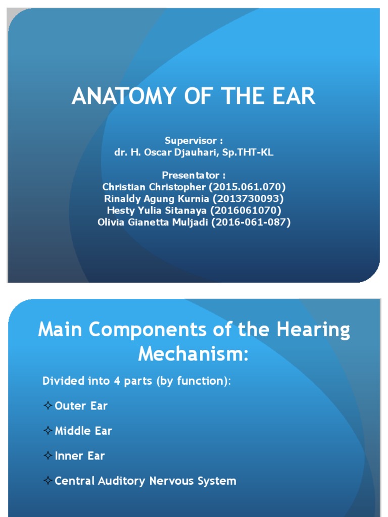 anatomy-ear-ppt-ear-auditory-system-free-30-day-trial-scribd