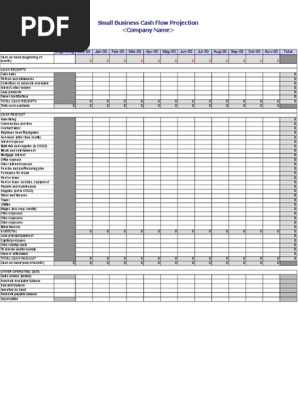 Cash Flow Projections - Template