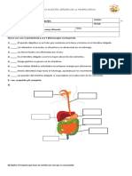 Prueba Sistema Digestivo