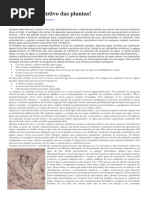 O sucesso evolutivo das plantas.docx