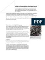 Biology Respiration Chapter Adverse Effects of Smoking