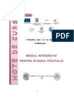 Studiul Ficatului PDF