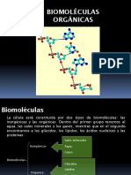 Biomoléculas Organicas 2