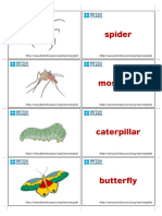 Kids Flashcards Bugs 1 PDF