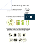 Respuestas Mitosis Meiosis1