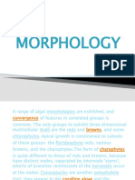 2 Morphology