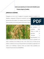 Agricultura en Portuguesa Reportaje
