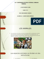 Los animales.pptx