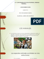 Los animales.pptx