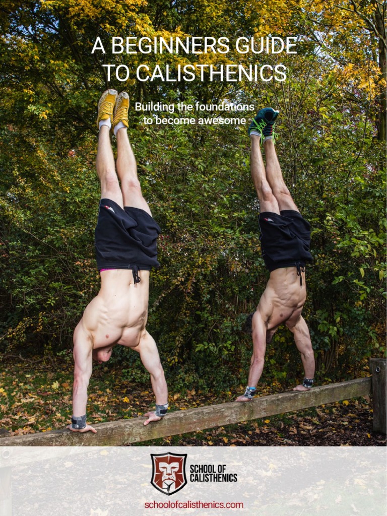 Beginner's Guide to Calisthenics | PDF | Recreation | Self Care