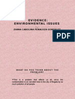 DESARROLLO DE Evidence-Environmental-Issues