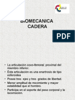 Biomecanica Cadera para Leer