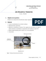 Campo Magn Terr PDF