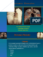 Derrames Pleurales Clase.JULIO 2008. (PPTminimizer).ppt