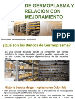 Bancos de Germoplasma