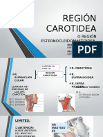 Región Carotidea