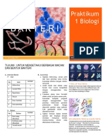 Praktikum Bio 1