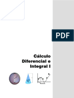 FP5S Caldifeintegral1 PDF