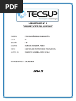 Segmentacion de Mercado