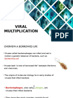 Multipilication Viral