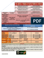 Cuadro-Resumen-Actuacion Carencia Permiso Conduccion