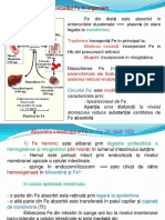 Biochimie Clinica PDF
