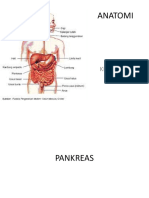 ANATOMI pankreas slide.pptx