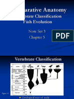 CA Section 4 - Vertebrate Classification